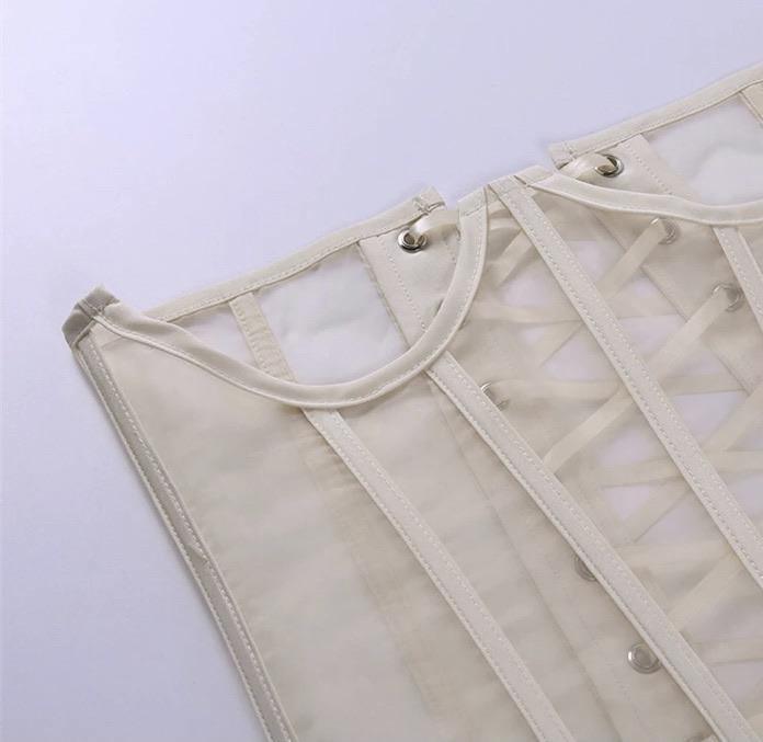 Sweet But Sexy Tan Mesh Corset -